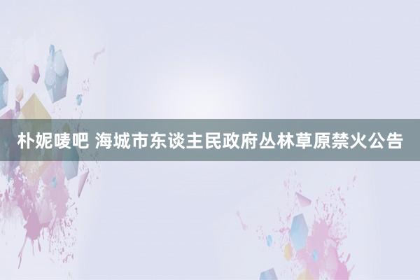 朴妮唛吧 海城市东谈主民政府丛林草原禁火公告