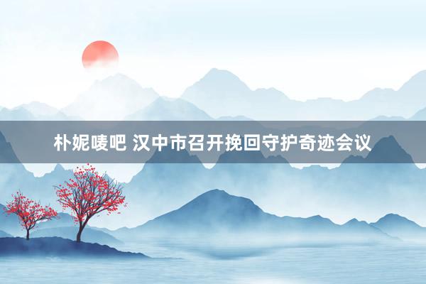 朴妮唛吧 汉中市召开挽回守护奇迹会议