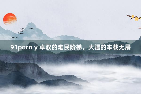 91porn y 卓驭的难民阶梯，大疆的车载无餍